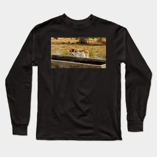 the little veal Long Sleeve T-Shirt